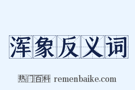 浑象反义词是什么意思的图片